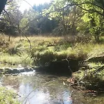 Wood By The River - For Nature Lovers *