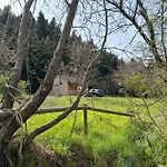 Wood By The River - For Nature Lovers *