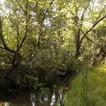Wood By The River - For Nature Lovers * Vytina
