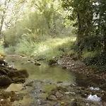 Wood By The River - For Nature Lovers * Vytina