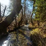 Wood By The River - For Nature Lovers *