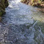 木屋 Wood By The River - For Nature Lovers *