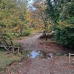 Wood By The River - For Nature Lovers Alpesi faház