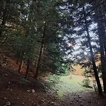 Wood By The River - For Nature Lovers Chalet