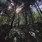 Wood By The River - For Nature Lovers