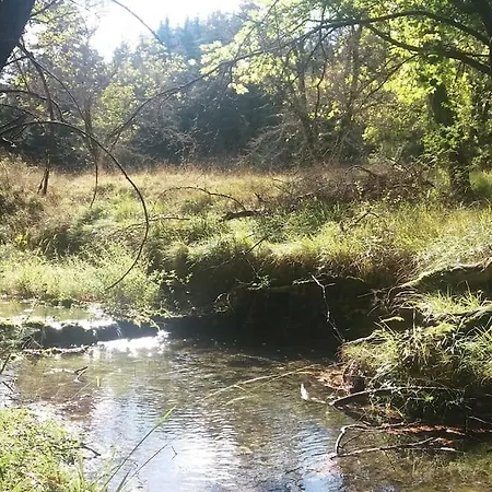 Wood By The River - For Nature Lovers *
