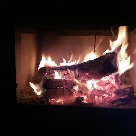 Wood By The River - For Nature Lovers * Vitina