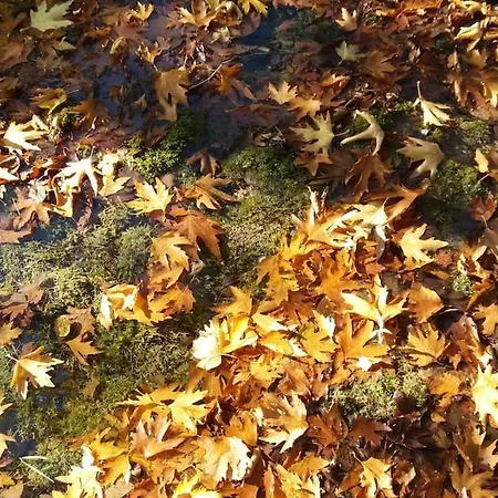 Wood By The River - For Nature Lovers Domek alpejski Vytina