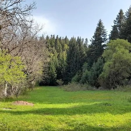 Wood By The River - For Nature Lovers *