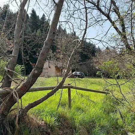 Wood By The River - For Nature Lovers *