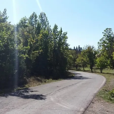 Wood By The River - For Nature Lovers