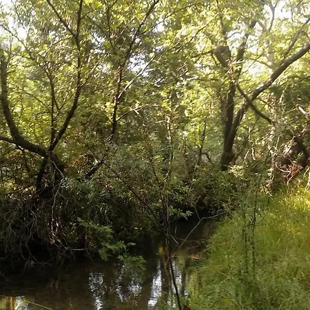 Wood By The River - For Nature Lovers * فيتينا