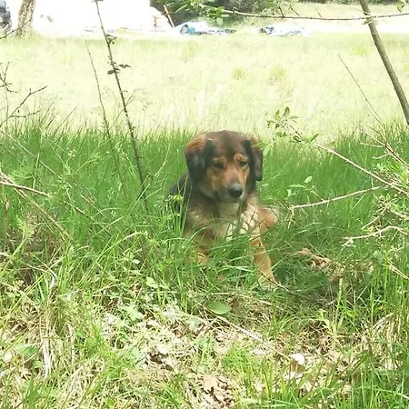 Wood By The River - For Nature Lovers فيتينا