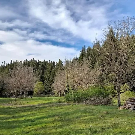 Wood By The River - For Nature Lovers Chalet Vytina