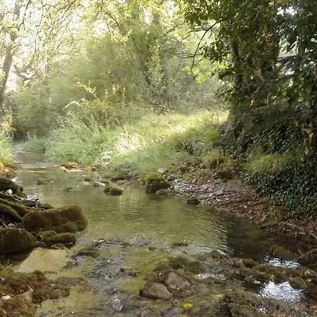 Wood By The River - For Nature Lovers * فيتينا