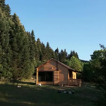 Wood By The River - For Nature Lovers