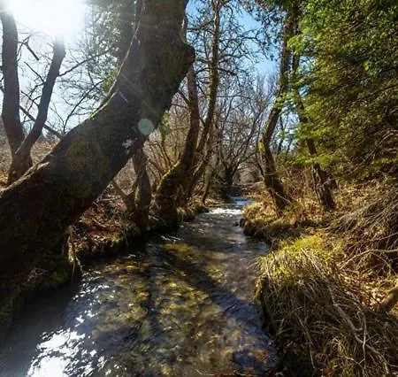 Wood By The River - For Nature Lovers *