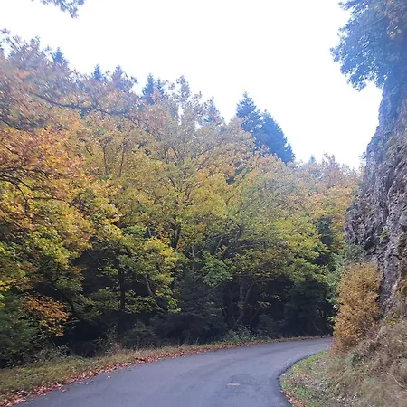 Wood By The River - For Nature Lovers Chalet