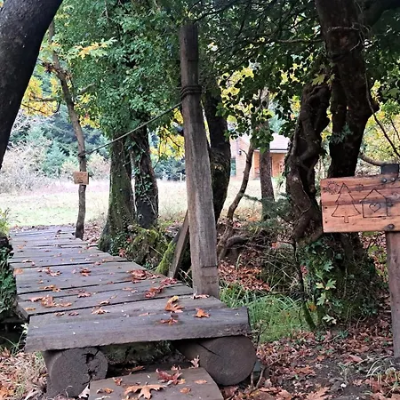 Wood By The River - For Nature Lovers Chalet Vytina