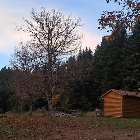 Wood By The River - For Nature Lovers