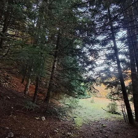 Wood By The River - For Nature Lovers Chalet