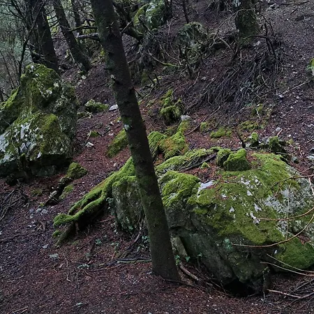 Wood By The River - For Nature Lovers Chalet Vytina