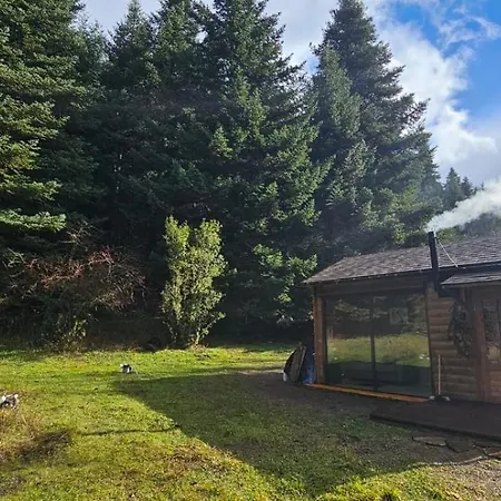 Wood By The River - For Nature Lovers Vitina