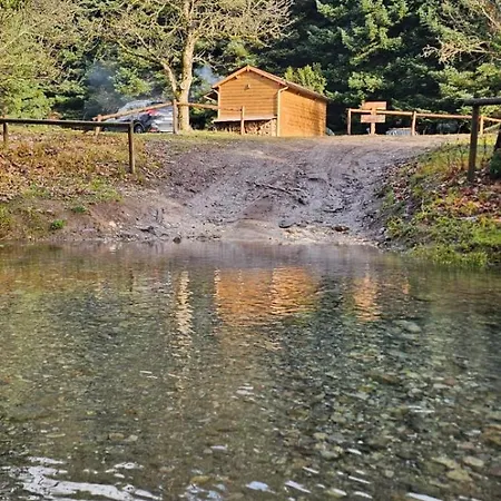 Wood By The River - For Nature Lovers