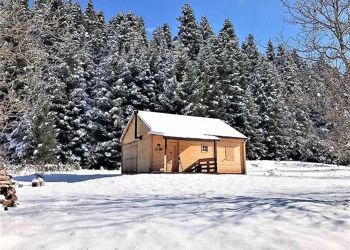 Wood By The River - For Nature Lovers * Vytina