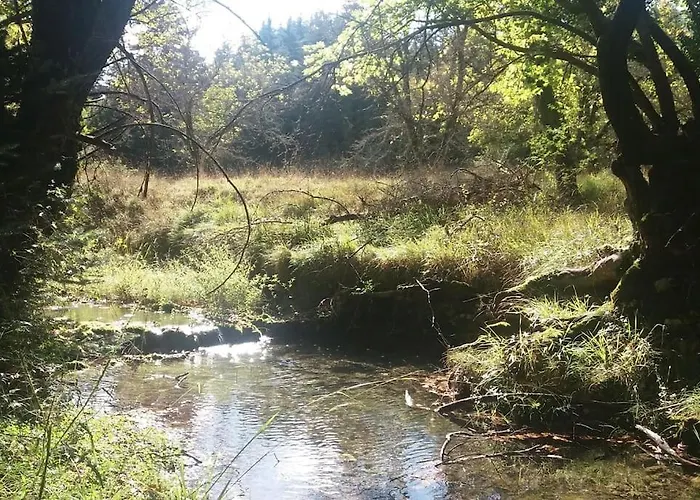 Wood By The River - For Nature Lovers *