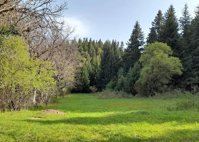 Wood By The River - For Nature Lovers *