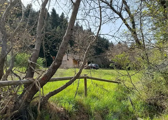 Wood By The River - For Nature Lovers *