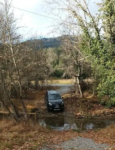 Wood By The River - For Nature Lovers Vytina