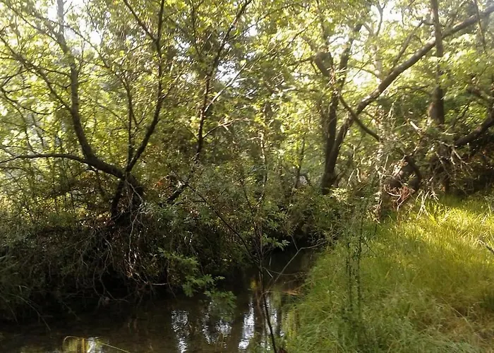 Wood By The River - For Nature Lovers * Vytina