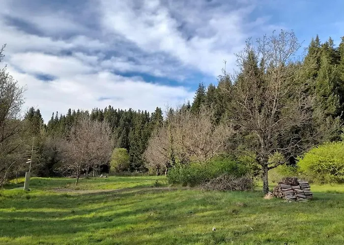 Wood By The River - For Nature Lovers Alpstuga Vytina