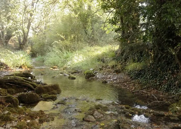 Wood By The River - For Nature Lovers * Vytina