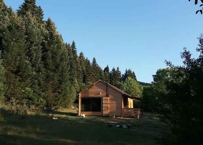 Wood By The River - For Nature Lovers