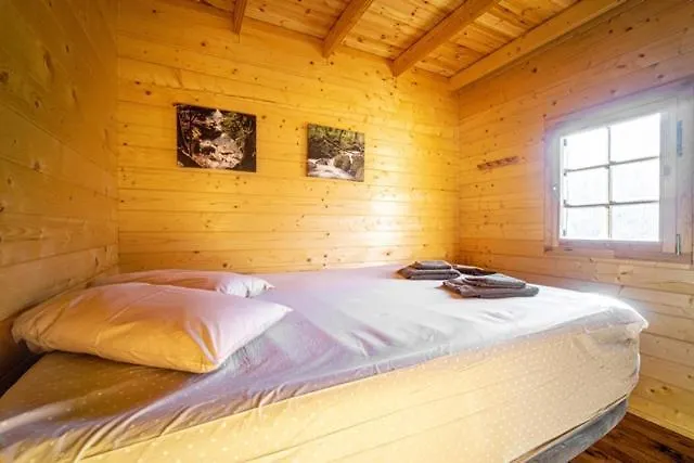 Wood By The River - For Nature Lovers * Vytina