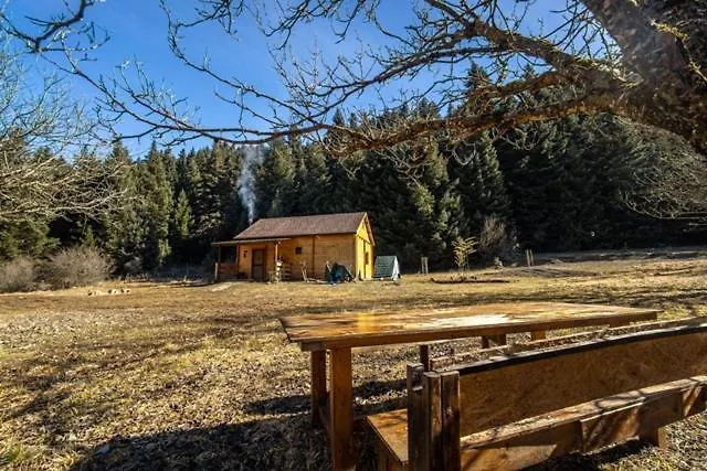 Wood By The River - For Nature Lovers Vitina