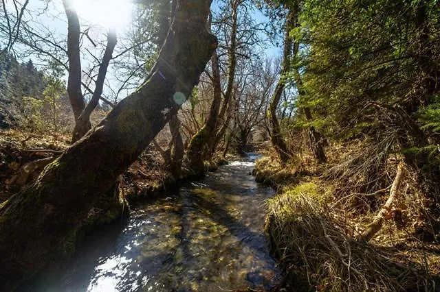 Wood By The River - For Nature Lovers *