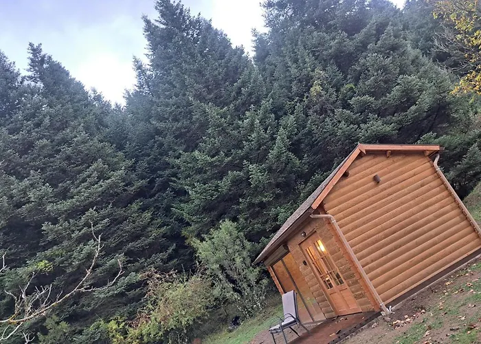 Alpstuga Wood By The River - For Nature Lovers