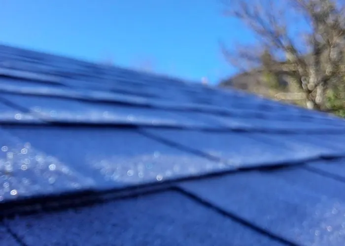 Wood By The River - For Nature Lovers