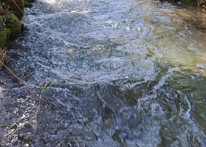 Alpstuga Wood By The River - For Nature Lovers *