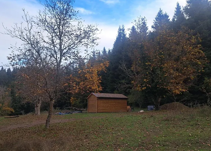 Wood By The River - For Nature Lovers * Vytina