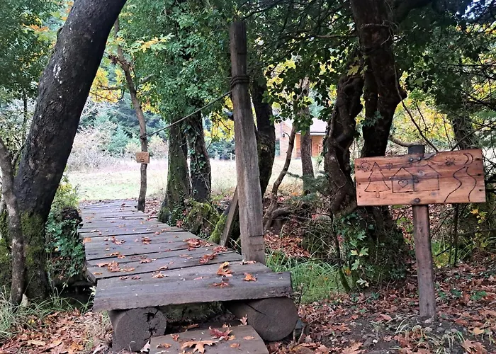Wood By The River - For Nature Lovers Alpstuga Vytina