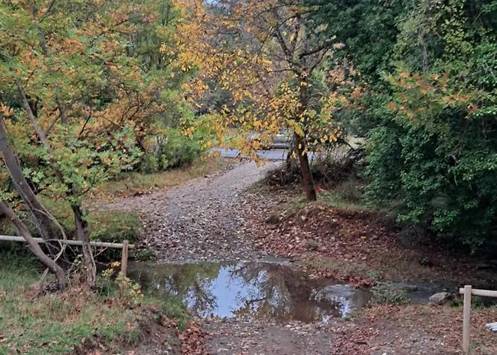 Wood By The River - For Nature Lovers Alpstuga