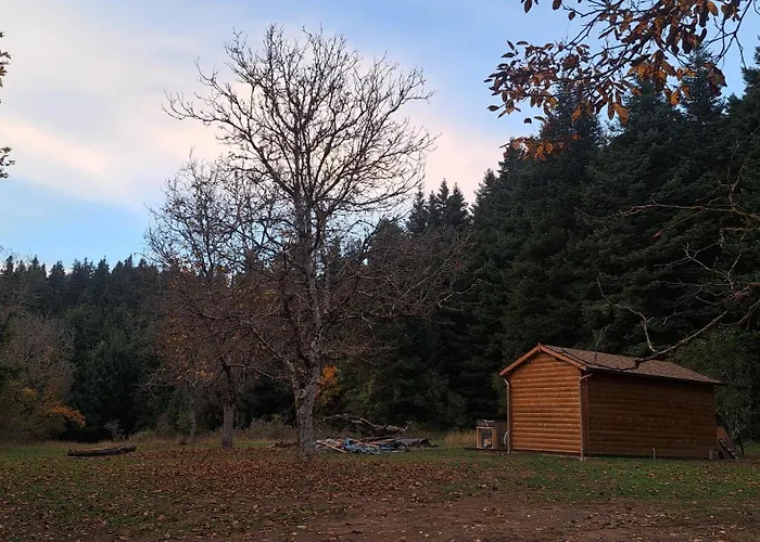 Wood By The River - For Nature Lovers