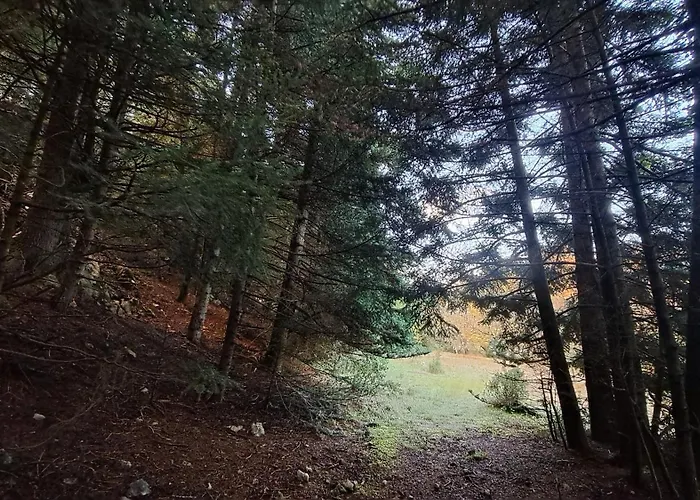 Wood By The River - For Nature Lovers Alpstuga