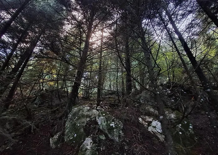 Wood By The River - For Nature Lovers