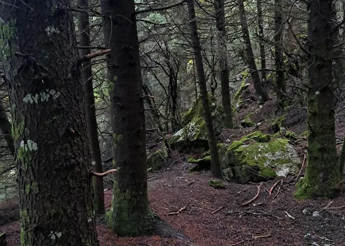 Wood By The River - For Nature Lovers